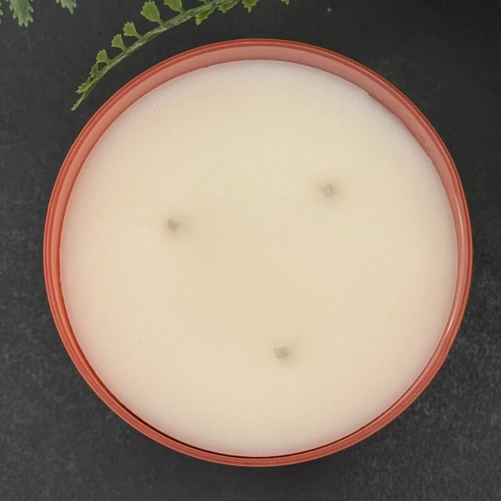 BBW Sunny Coconut White Barn Bath & Body Works 3 Wick Candle - Picture 7 of 10